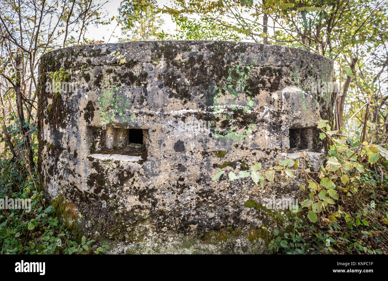 La seconde guerre mondiale bunker abandonné l'armée couverts de mousse dans la forêt. Ruines du bunker en béton blindé militaire en Slovénie. Banque D'Images