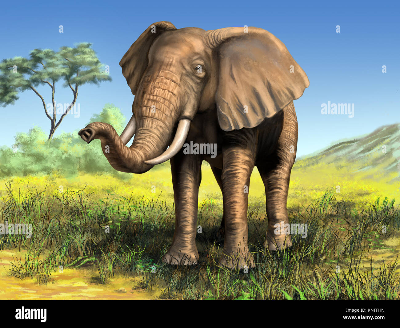 Faune : elephant dans son environnement africain. Illustration numérique. Banque D'Images