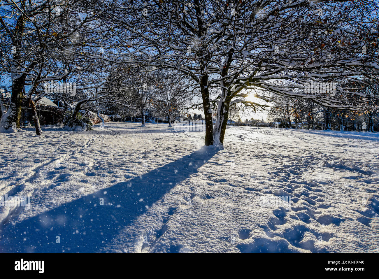 Une scène d'hiver de neige dans un parc Banque D'Images