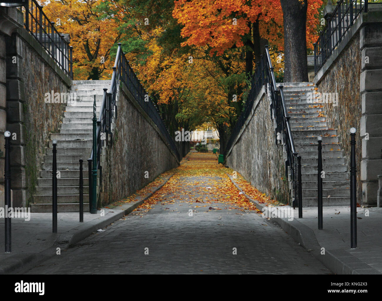 Autumn park avec vue panoramique de la route (alley). Cimetière de Montmartre. Paris, France Banque D'Images