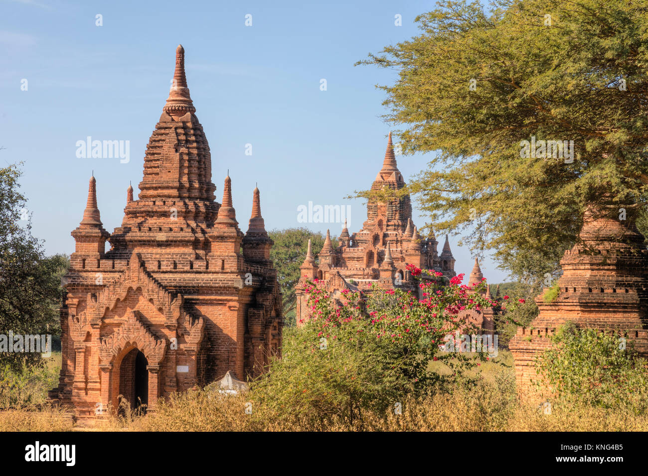 Bagan, Mandalay, Myanmar, en Asie Banque D'Images
