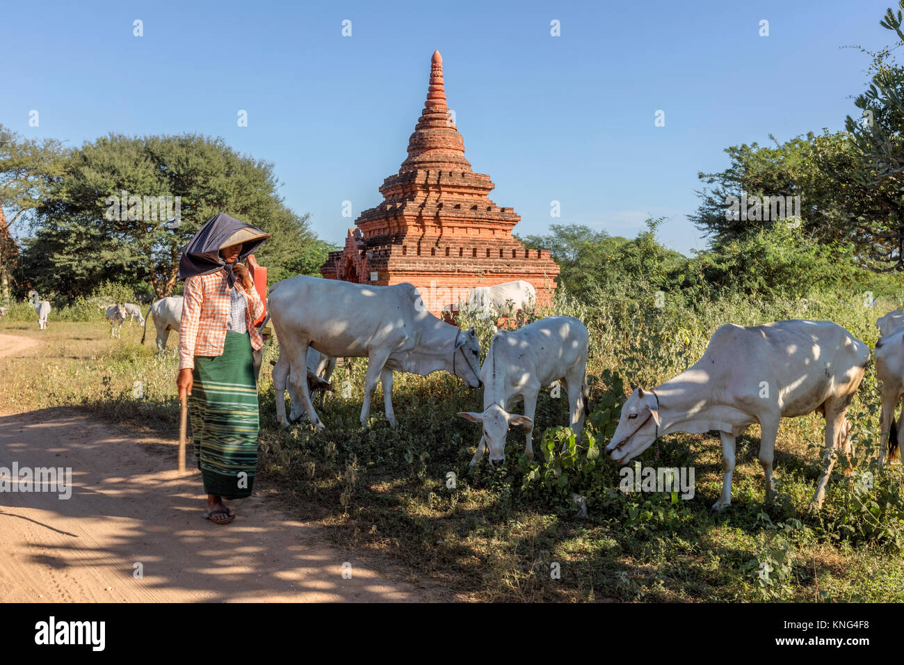 Bagan, Mandalay, Myanmar, en Asie Banque D'Images