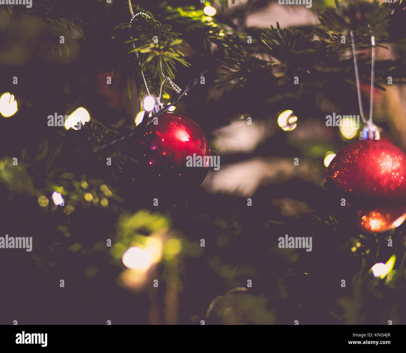 Boule de Noël rouge - Décoration de Noël sur un arbre Banque D'Images