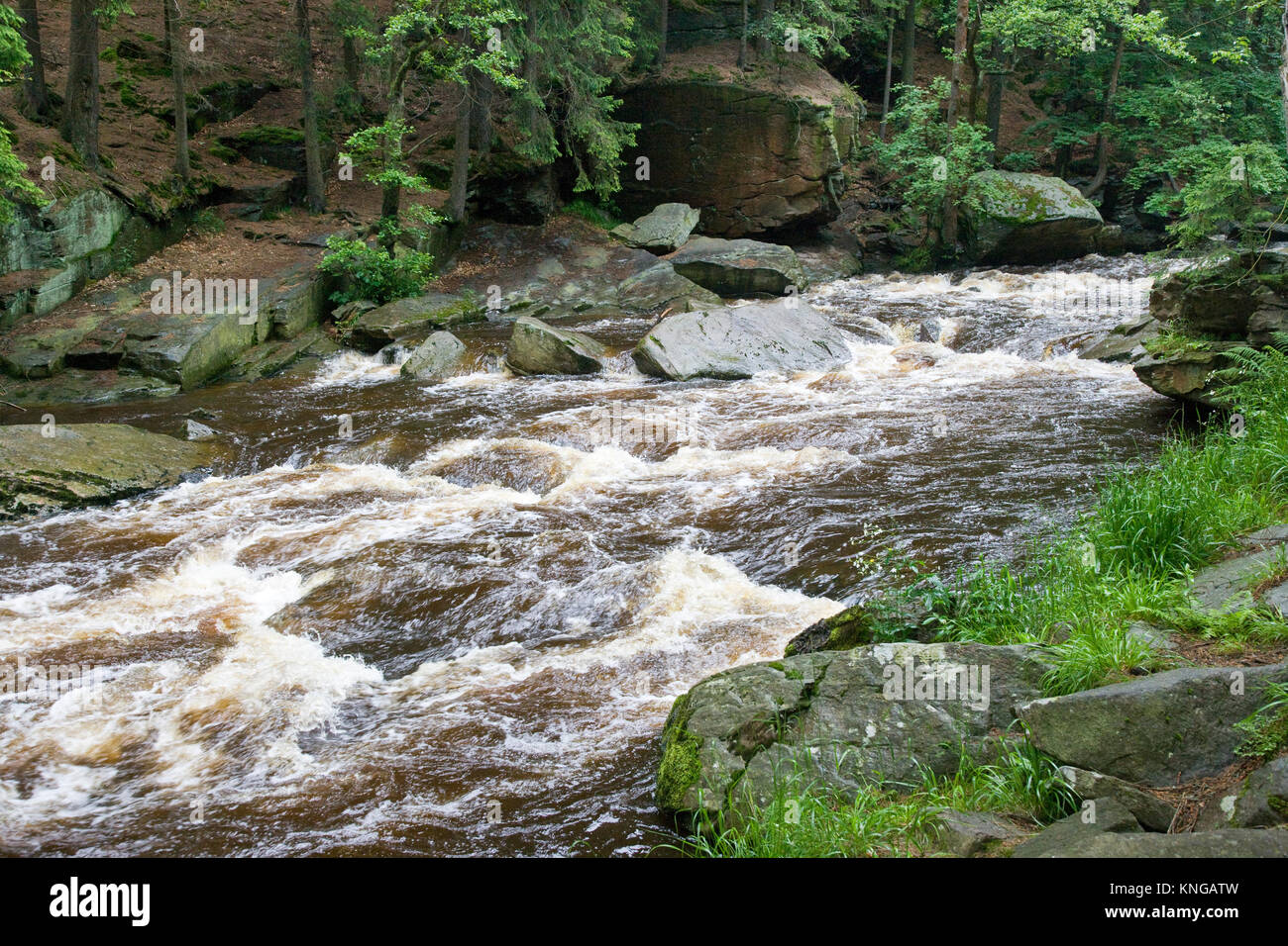Land gate et passeur sur le chemin de la rivière Orlice, Eagle, Mounains Bohême, République tchèque, Zemska Paseracka brana, stezka, l'Orlice Orlicke hory,, Ceska Republika Banque D'Images
