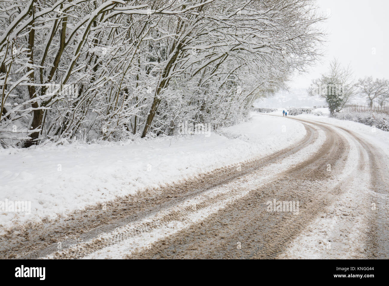 Seulement 4x4s capable de conduire en ville en raison de fortes chutes de neige, une famille présente à pied pour faire du shopping. Les écoles fermées. Décembre 2017. Banque D'Images