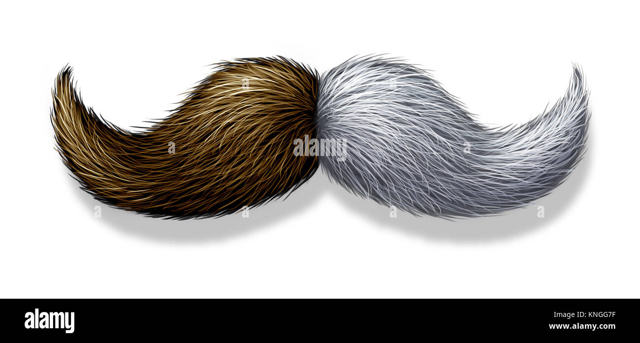 Jeunes et vieux concept de vieillissement comme une moustache ou moustache avec jeune les cheveux bruns d'un côté et blanc de l'autre sur les follicules. Banque D'Images