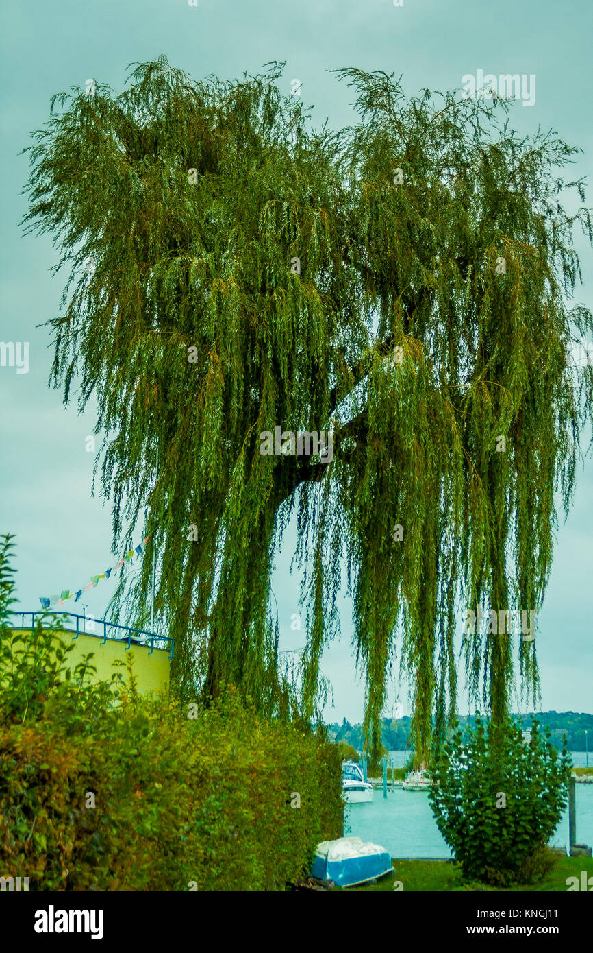 RMSGOZO Affiches De Pleine Lune Sur Le Lac Noir - 50,8 X 50,8 Cm - Art Mural Moderne Abstrait Esthétique - Peinture Sur Toile Imprimée Sans Cadre Pour