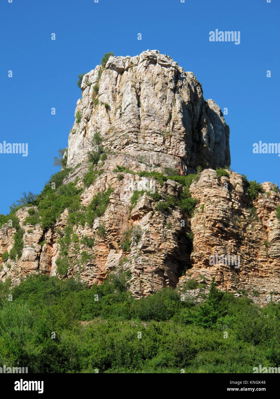 Vignes de Pouilly-Fuissé appellation au pied de la roche de Solutré, Solutré-Pouilly, Saône-et-Loire, Bourgogne-Franche-Comté, France, Europe Banque D'Images