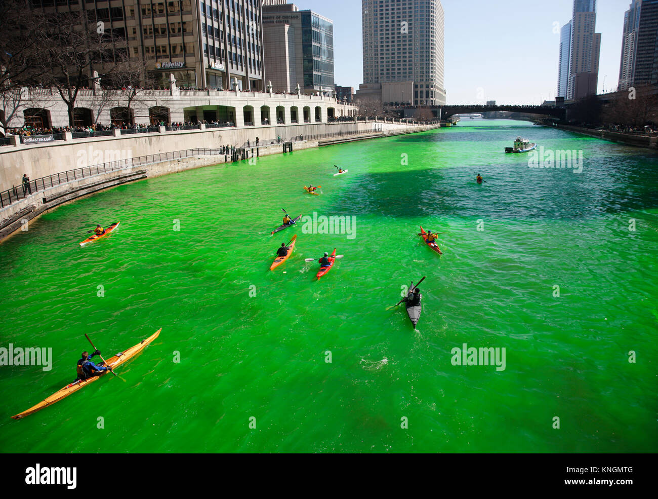Kayaks sur la rivière Chicago en vert, Saint Patrick's Day. Banque D'Images