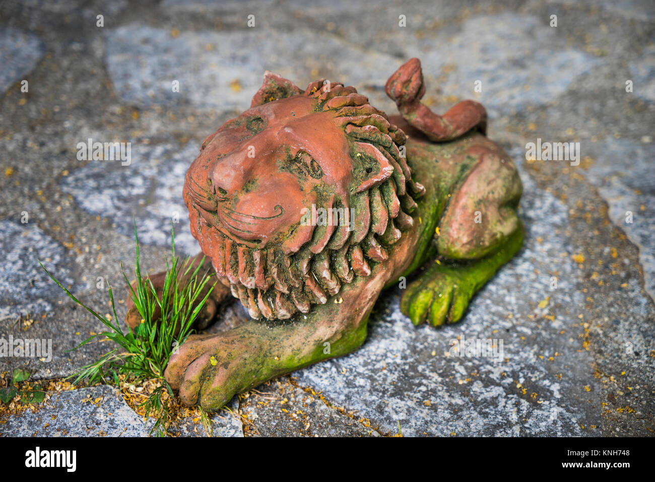 Lion sculpture en argile par Michiko Firch Banque D'Images