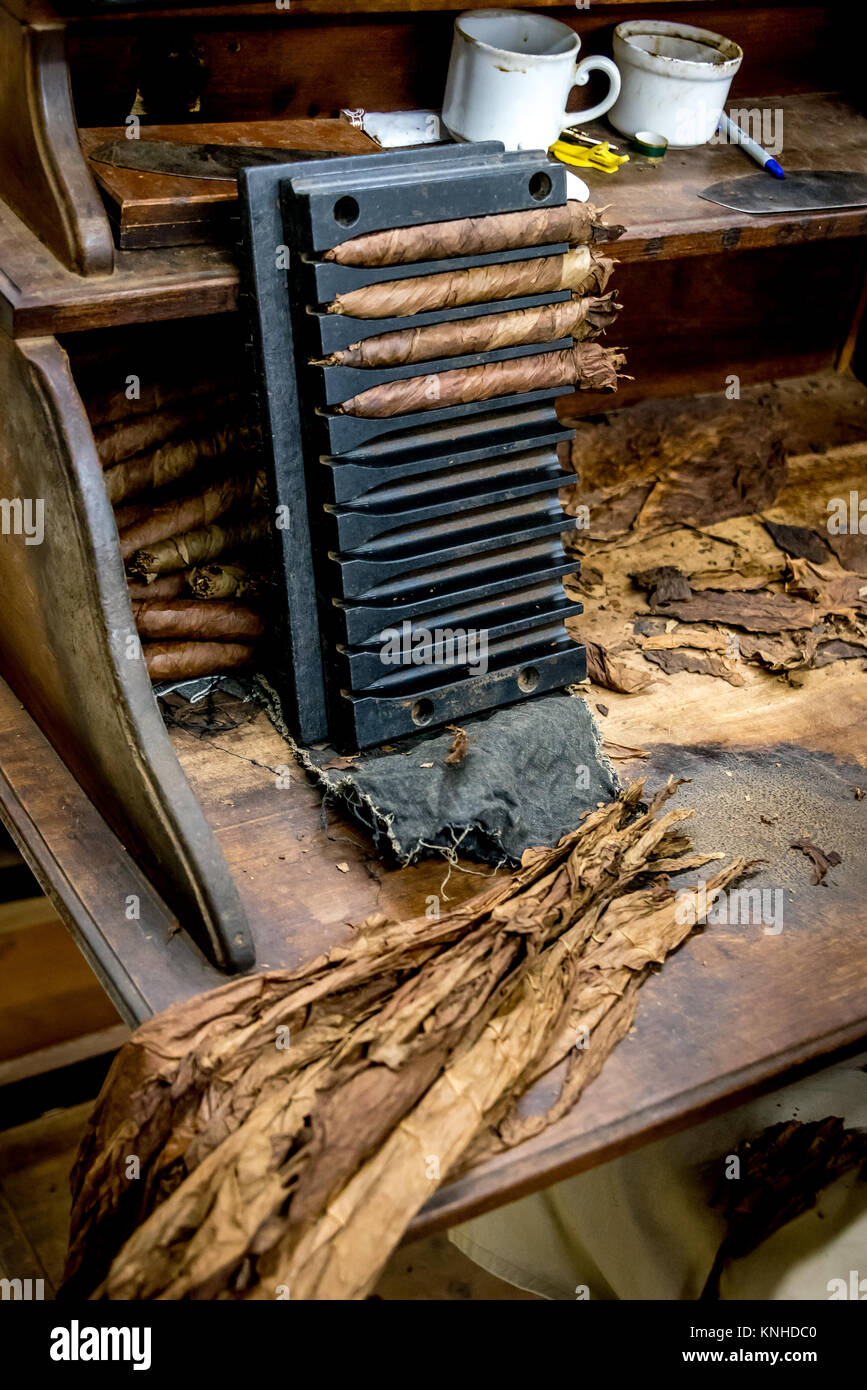 Cigares en cours - cigares roulés à la main faite à l'établissement Graycliff Cigar Company à Nassau, Bahamas, attendre dans un bac contenant leurs feuilles de tabac en place. Banque D'Images