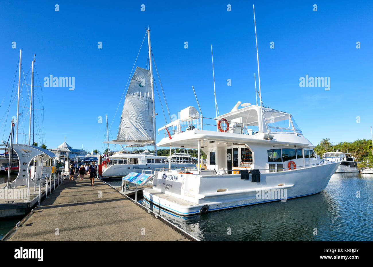 Les bateaux de croisière touristique au Reef Marina, Port Douglas, Far North Queensland, Queensland, Australie, FNQ Banque D'Images
