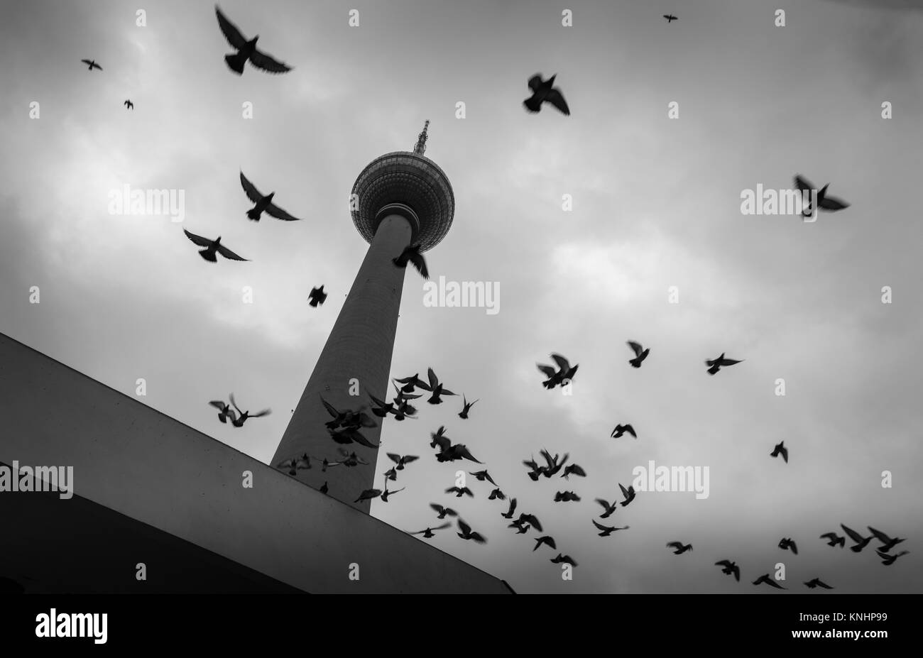 Alexander Platz avec colombes.noir et blanc.Berlin, Allemagne. Banque D'Images