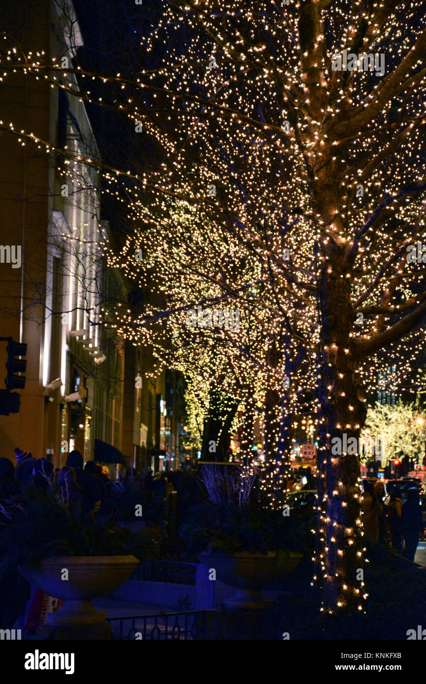 Les arbres de remplissage des feux de Michigan Avenue et de fournir une atmosphère de fête pour shoppers on Chicago Magnificent Mile' Banque D'Images