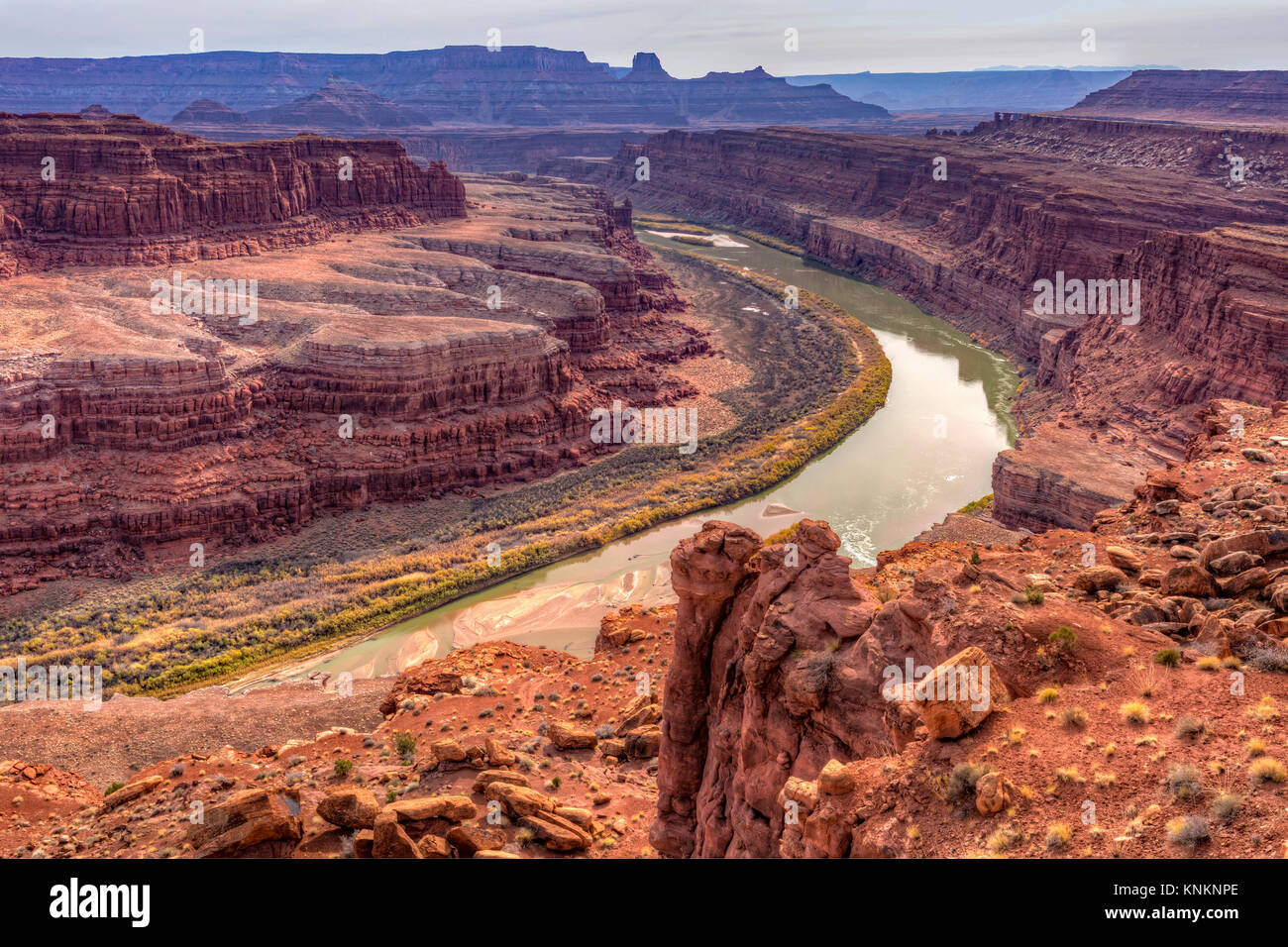 Vue sur le fleuve Colorado à partir de la vue de cygne dans Canyonlands National Park, en Utah. Banque D'Images