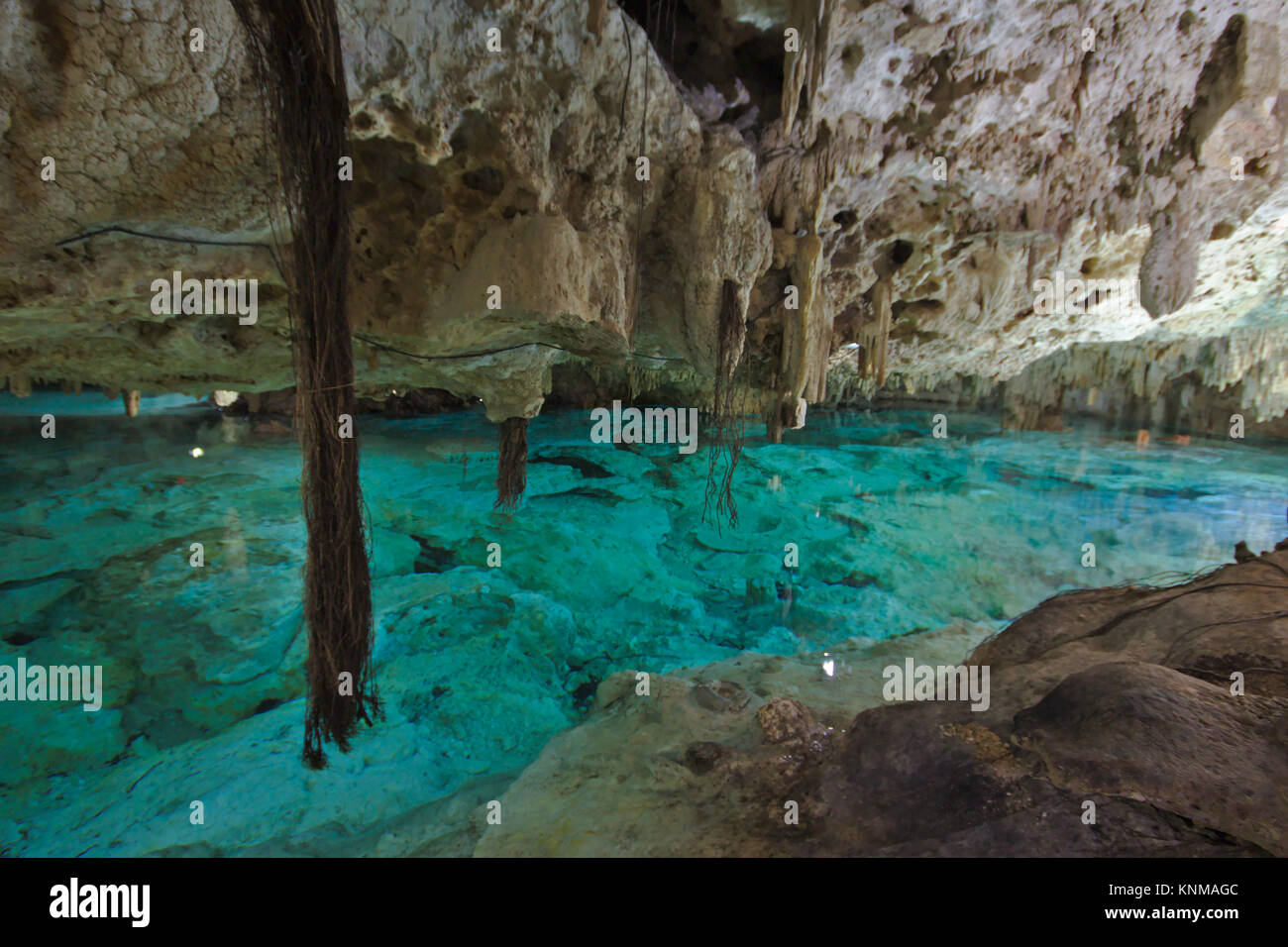 Cenote Aktun Chen, Quintana Roo, Mexique Banque D'Images