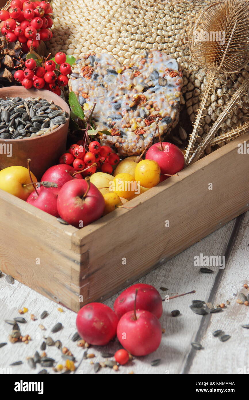 Buffet nourriture pour oiseaux ingrédients, y compris les pommes de crabe, graines de tournesol, graines cardère, fleurs colorées et un gâteau de rognon, réunis dans un plateau en bois Banque D'Images