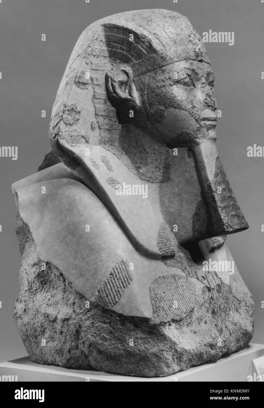 Tête et épaules en granit d'un sphinx d'Hatshepsout du nouvel Empire égyptien, dynastie 18, vers 1479–1458 av. J.-C., peintes et fouillées à Deir el-Bahri, illustrant la sculpture royale pendant le règne conjoint d'Hatshepsout et Thoutmôsis III Banque D'Images