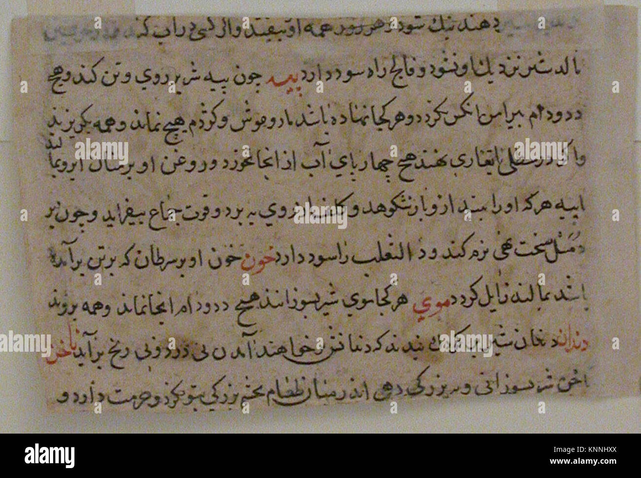 Ce folio, attribué à l’Iran et daté du début du XVIIe siècle, présente une illustration de lion de Shahmardan ibn Abi’l Khayr. Il fait partie du manuscrit dispersé Nuzhatnama-i 'Ala'i. Banque D'Images