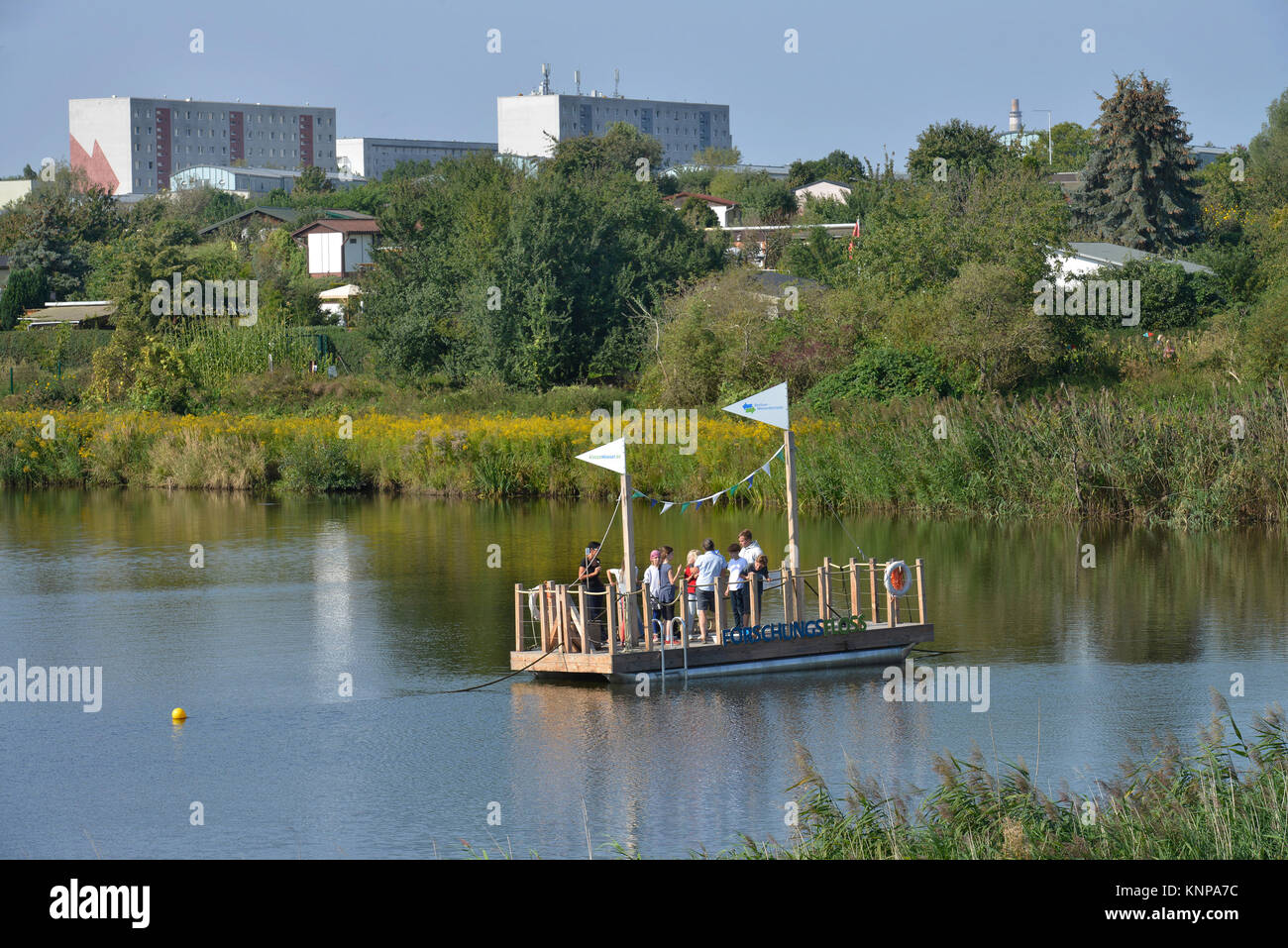 Voile, Wuhleteich, IGA, Marzahn, Berlin, Allemagne, Boot, Deutschland Banque D'Images