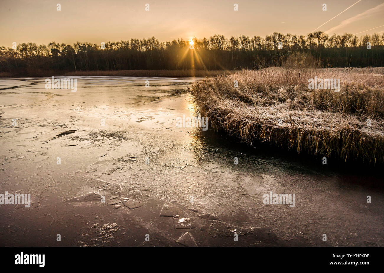 Le soleil se lève sur un lac gelé à Fairburn Ings RSPB Réserve Naturelle dans le Yorkshire, en Grande-Bretagne avait sa nuit la plus froide de l'année avec de vastes étendues du pays tomber en dessous de zéro - avec -13C (8.6F) enregistrés dans le Shropshire. Banque D'Images