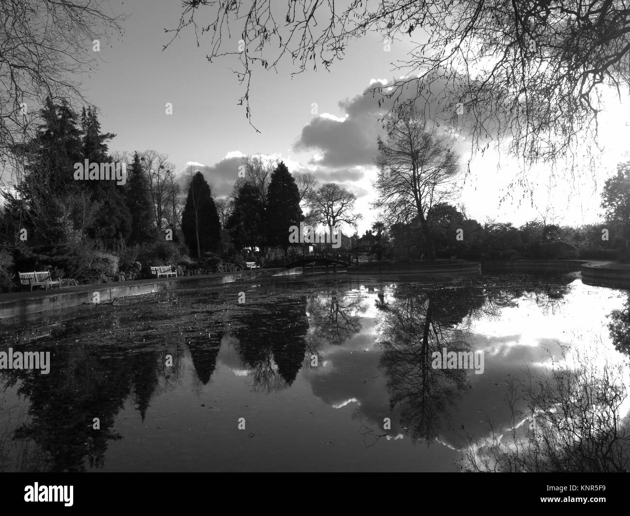 Stoke Park Gardens, Guildford, Surrey, UK. Banque D'Images