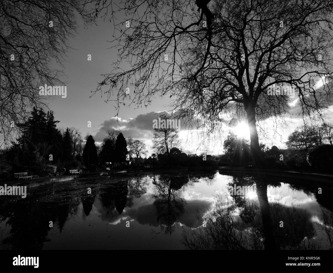 Stoke Park Gardens, Guildford, Surrey, UK. Banque D'Images