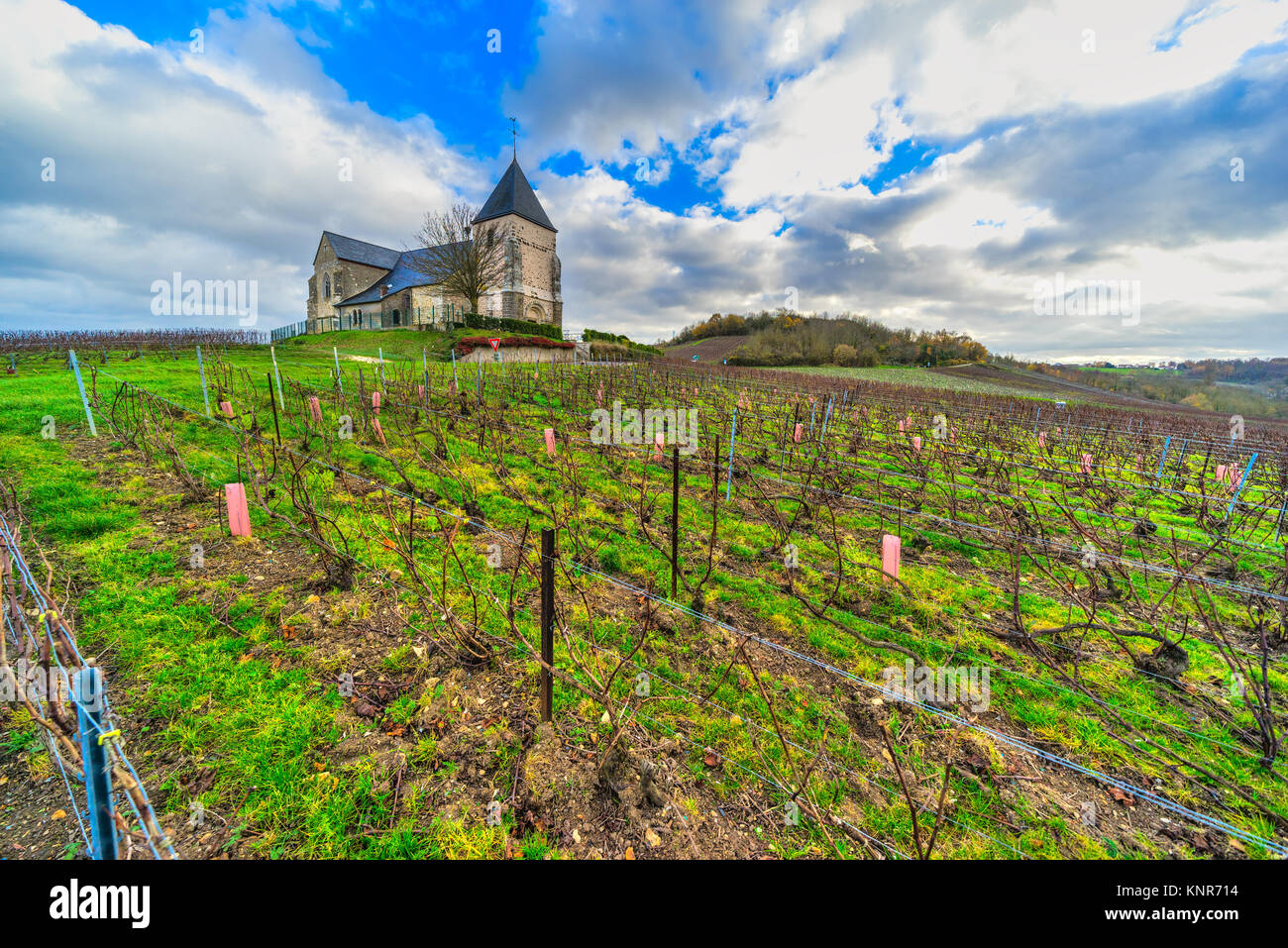 Chavot Courcourt et vignobles en Champagne, église, Epernay, France Banque D'Images