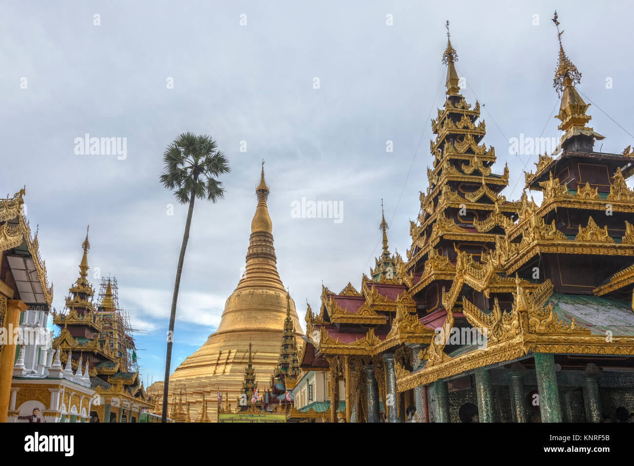 La pagode Shwedagon, Yangon, Myanmar, en Asie Banque D'Images