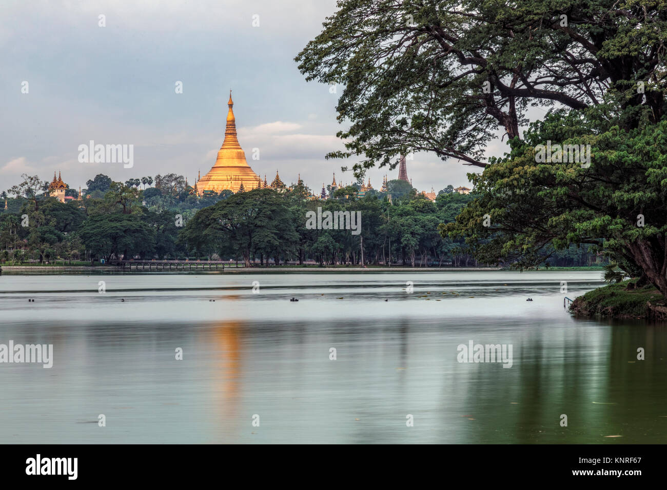 La pagode Shwedagon, Yangon, Myanmar, en Asie Banque D'Images