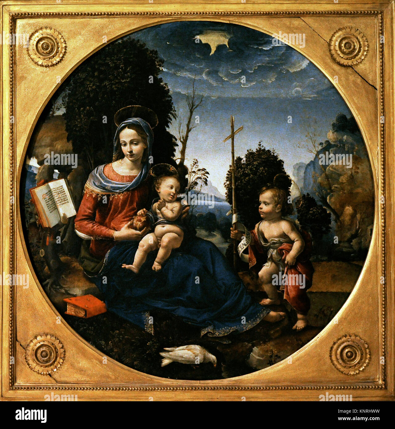 Raffaelino del Garbo (1466-1524). Peintre italien. Vierge à l'enfant et nourrisson de Saint John. Ca.1500. Collection de Bourbon. Musée national de Capodimonte. Naples, Italie. Banque D'Images