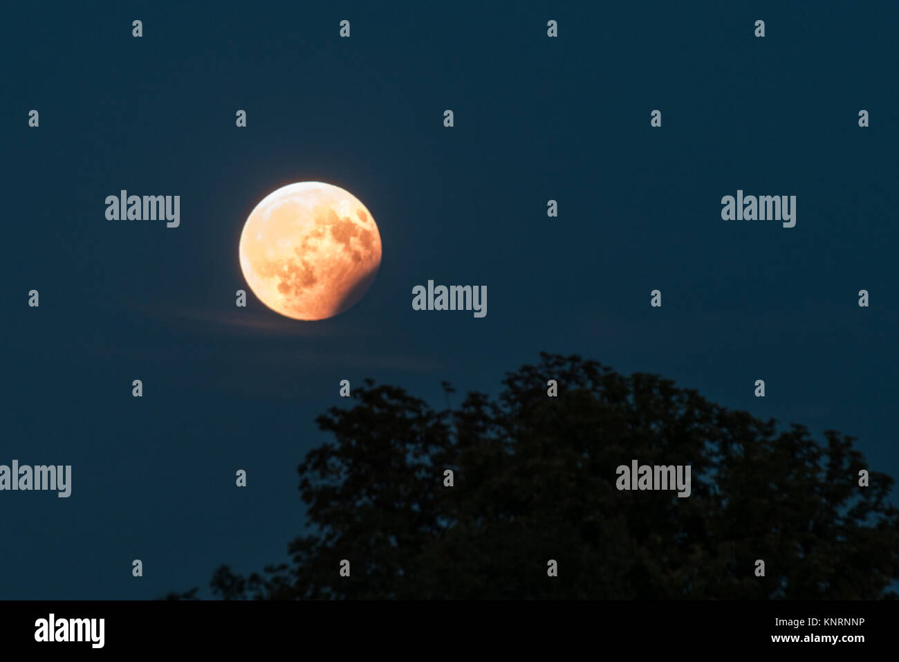 Eclipse lunaire partielle, 07 août 2017, Regensburg, Allemagne Banque D'Images