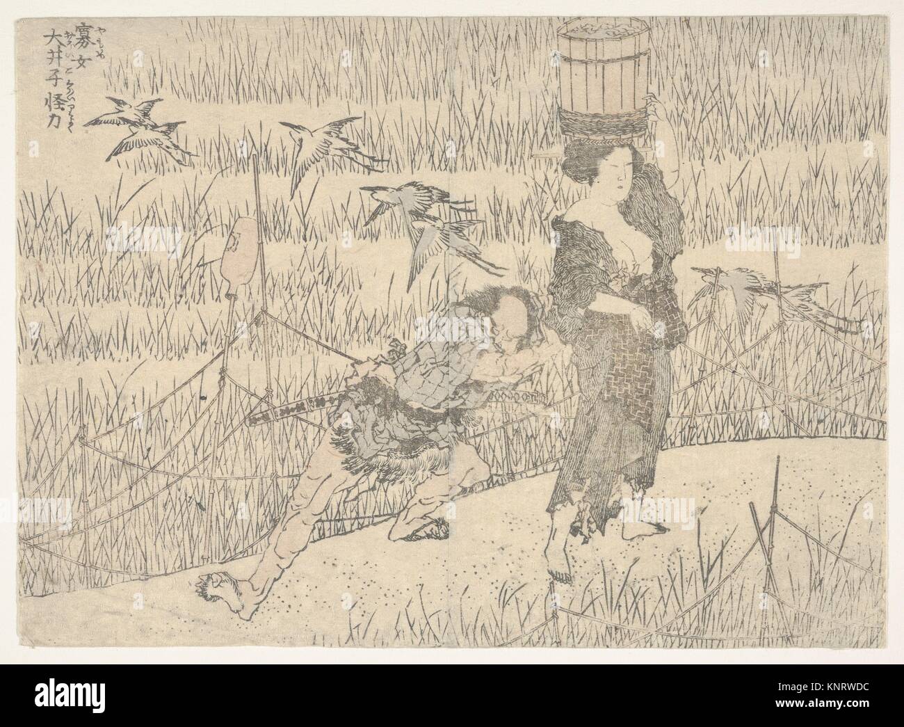 L'impression. Artiste : Katsushika Hokusai (Japonais, Tokyo (EDO) 1760-1849 Tokyo (EDO)) ; Date : ca. 1820 Médium : gravure sur bois coloriée ; Dimensions : feuille : 6 Banque D'Images