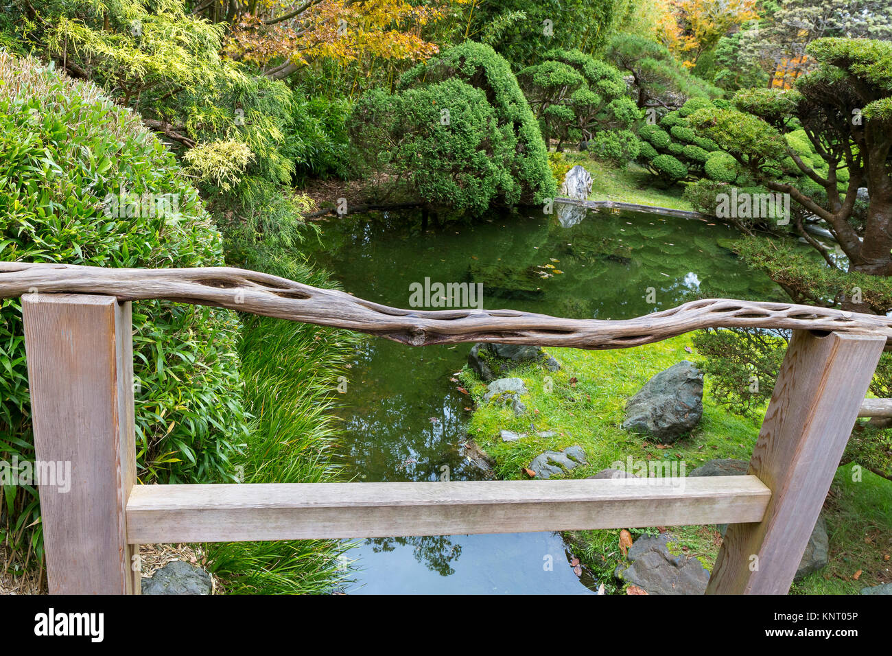 Sculpté lisse porté direction prend une rampe sur un pont en bois simple à la recherche dans le jardin en contrebas, dans le jardin de thé japonais au Golden Gate Park Banque D'Images
