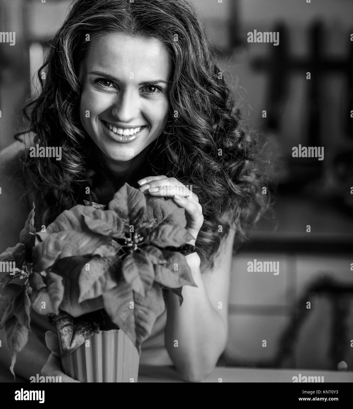Accueil de décoration à Noël sont une façon merveilleuse de profiter de l'esprit de la saison. Smiling young woman with christmas rose en cuisine décoration Banque D'Images
