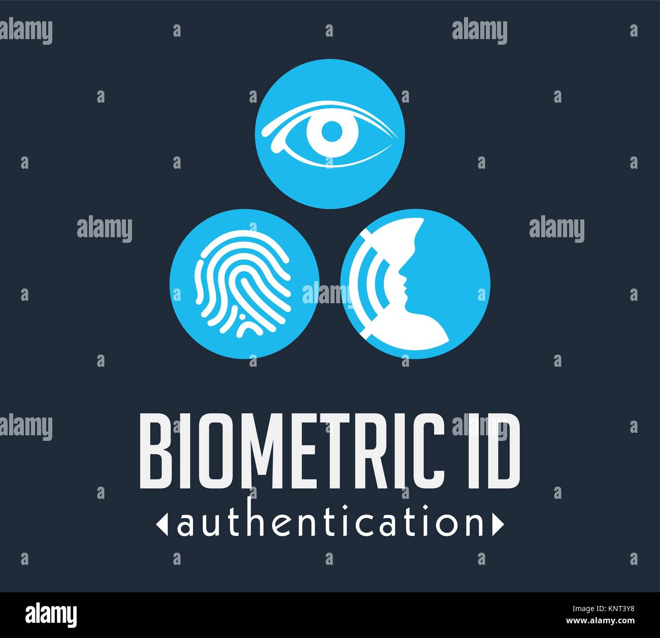 Authentification par empreinte digitale Banque d'images vectorielles ...