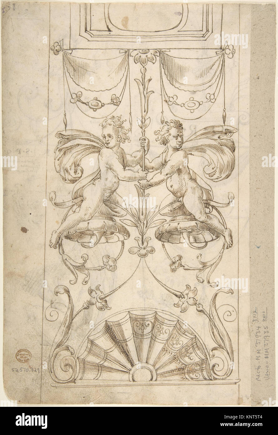 Dessins grotesques avec diverses inscriptions (recto) ; Candelabra grotesque et deux Putti holding Flowers (verso) rencontré 337562 DP800647 Banque D'Images