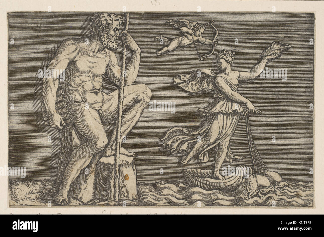 Une gravure de Marco Dente, représentant la scène mythologique de Galatée échappant à Polyphème, avec Galatée chevauchant une coquille dessinée par des dauphins, et Cupidon volant au-dessus. Banque D'Images