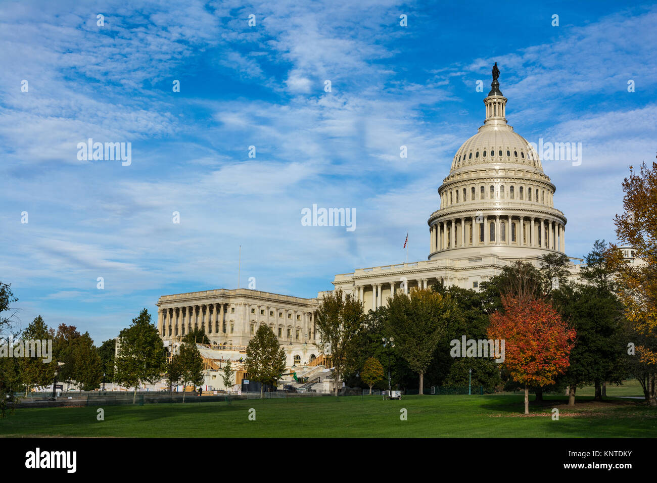 Paysage de jour Capitole Washington DC Grass Blue Sky Banque D'Images