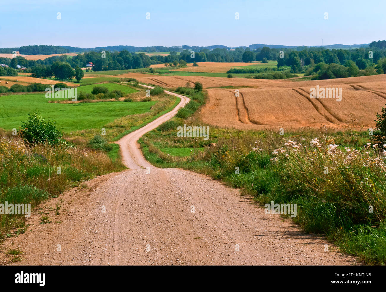 Une route de terre entre les collines sinueuses, road dans un champ Banque D'Images