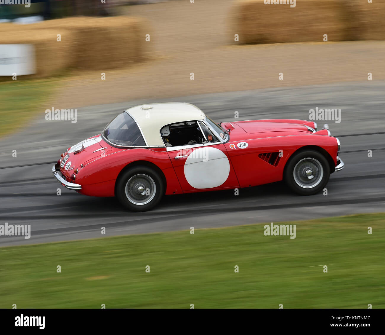 Simon Kidston, Austin Healey 3000 Mk III, léger, ARX 91 B, Goodwood Festival of Speed, en 2014, en 2014, Christian Jacq, voitures, voitures classiques, voitures célèbres, F Banque D'Images