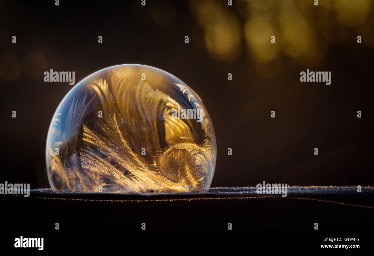 Bulle de savon gelée délicate à l'aube, le Lever du Soleil, Jack Frost, modèles de glace, le froid, le gel Banque D'Images