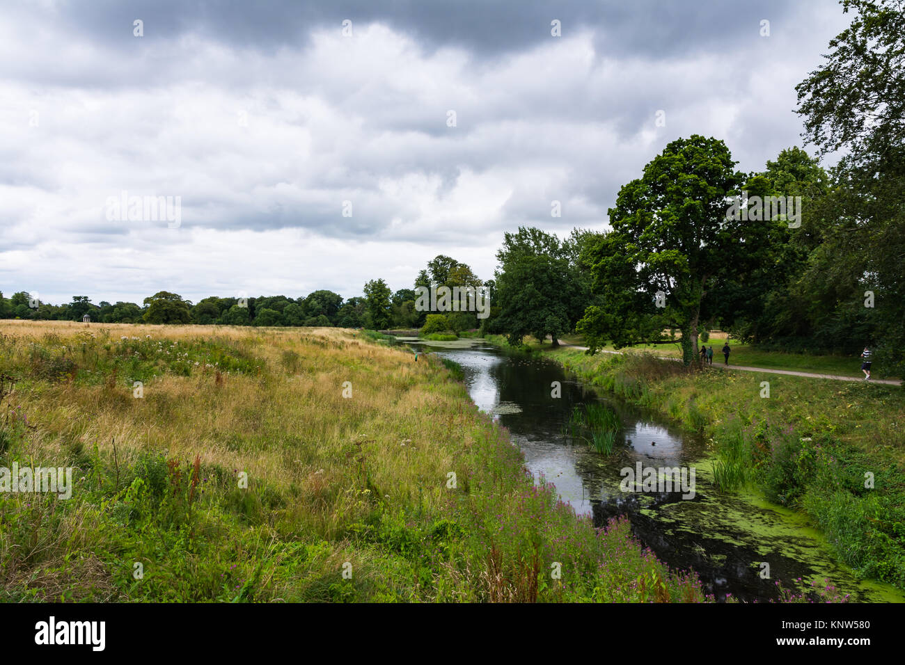 Irlande Celbridge Nature Paysage Terrain de la rivière Banque D'Images