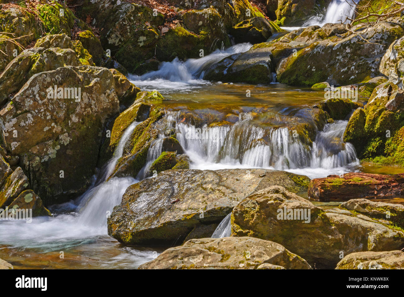 L'eau calme sur la rivière Rose dans le Parc National Shenandoah en Virginie Banque D'Images