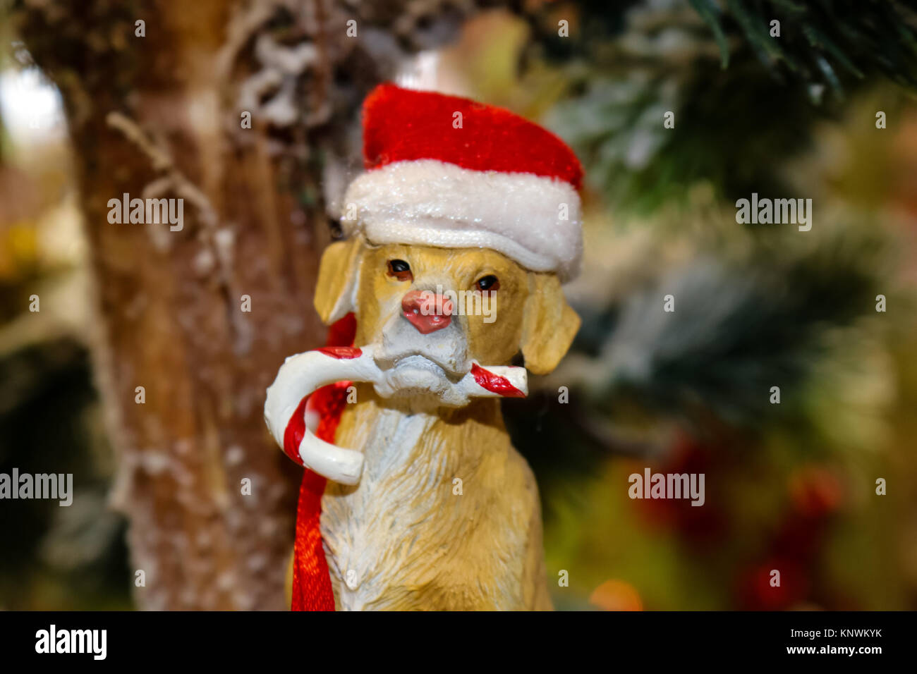 Chien avec canne et chapeau de père noël ornement sur l'arbre de Noël rustique Banque D'Images