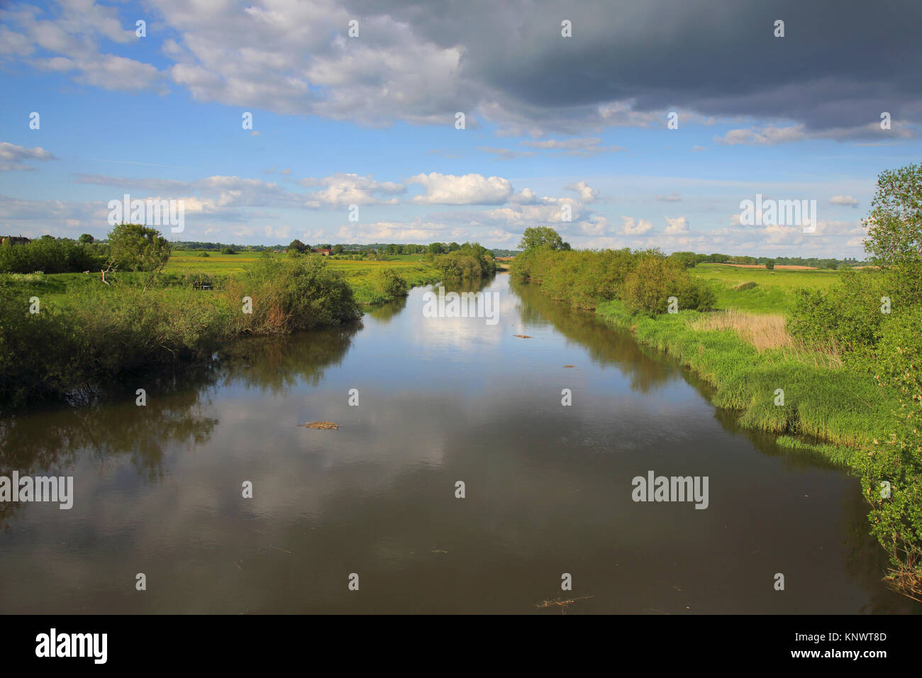 River Arun dans la campagne du Sussex Banque D'Images