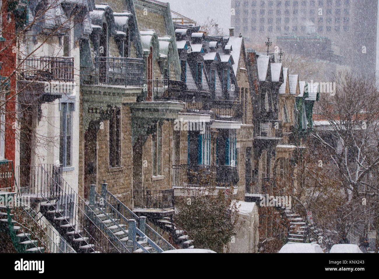Montréal,Canada,10,décembre 2017.rangée de maisons de style victorien de neige pendant l'hiver.Credit;Mario Beauregard/Alamy Live News Banque D'Images