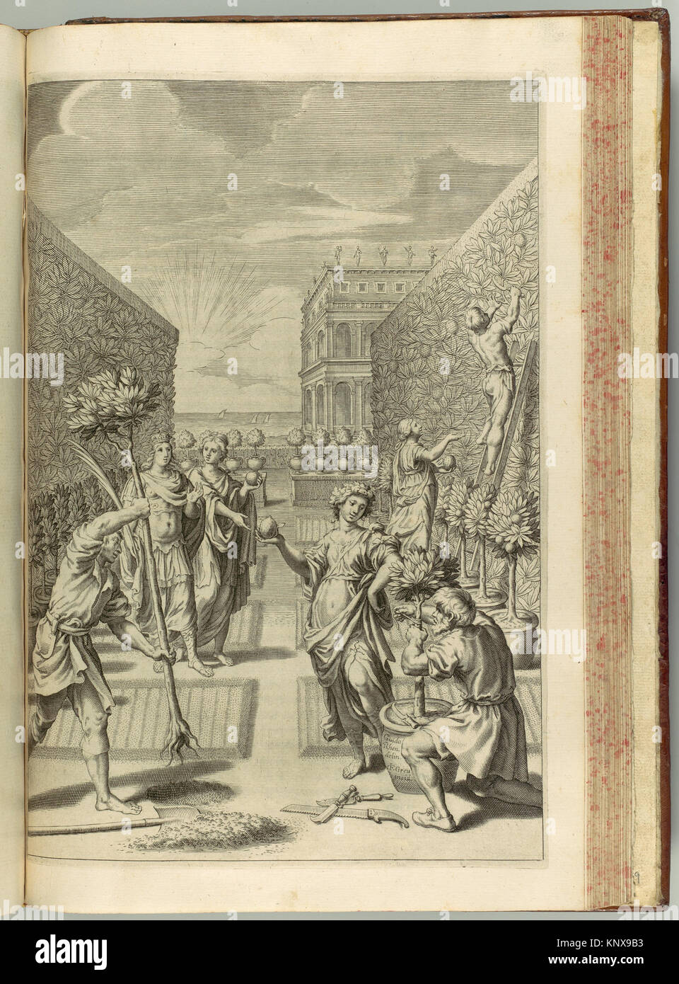 Hesperides sive de Malorum Aureorum cultura et usu. Libri Quatuor réuni 349620 DP105005 Banque D'Images