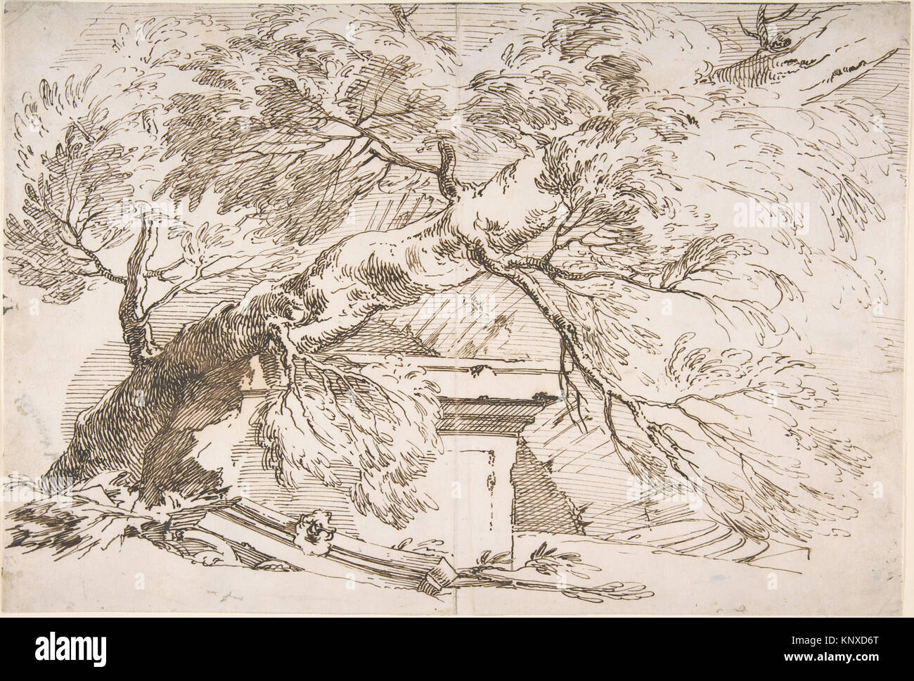 Un arbre tombé en ruines rencontré DP804048 383948 Artiste : Paul Troger, autrichien, Welsberg 1698 ?1762 Vienne, un arbre tombé en ruines, 1700 ?1762, plume et encre brune, feuille : 9 1/16 x 13 3/8 in. (23 x 33,9 cm). Le Metropolitan Museum of Art, New York. Achat, C. G., 2008 Cadeaux Boerner (2008.373) Banque D'Images