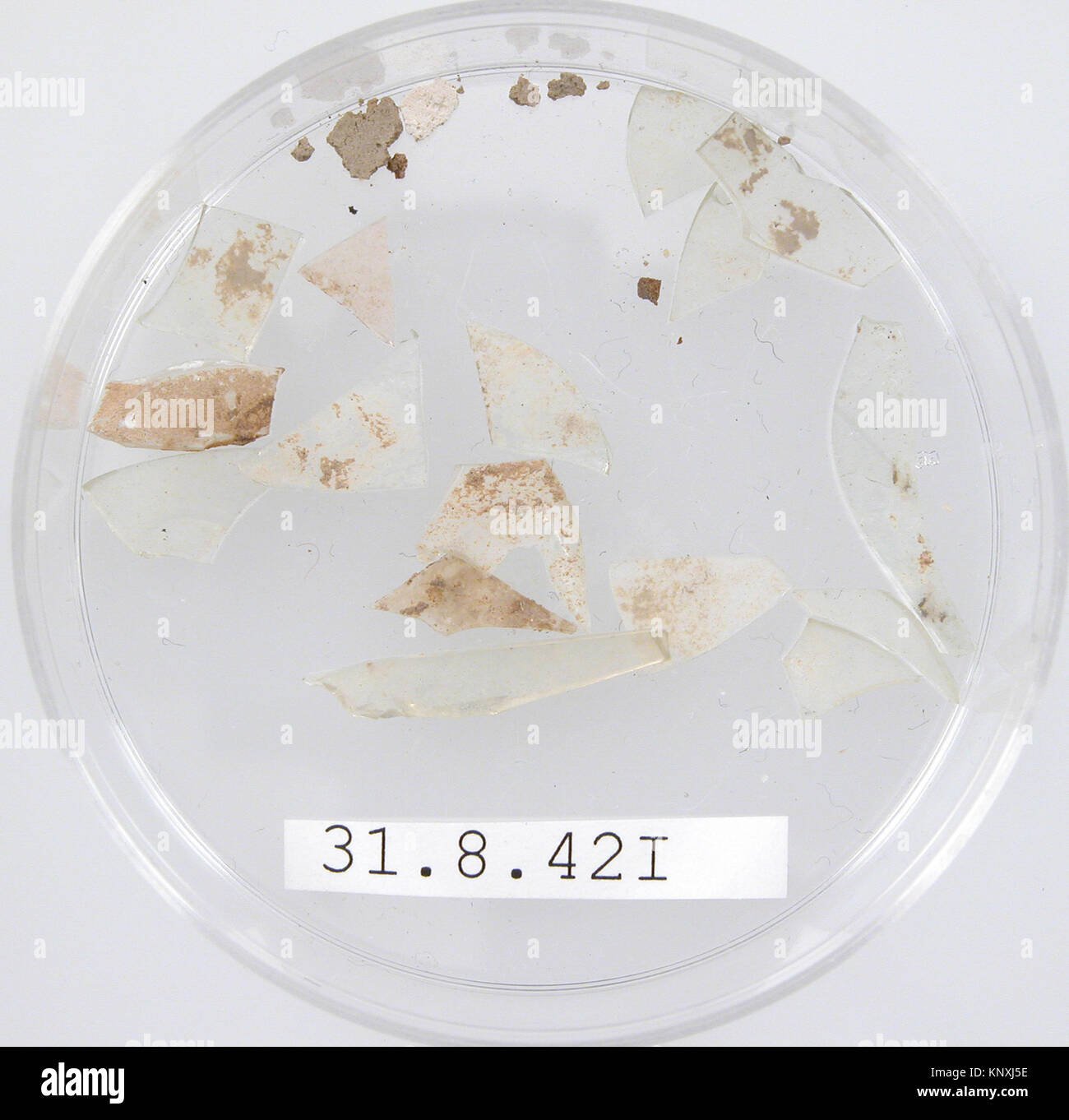 Ces fragments de verre copte du IVe siècle sont des restes d'anciens vaisseaux. Les pièces de verre, conservées dans une boîte de Pétri d’un diamètre de 5,5 cm, témoignent de l’artisanat et de la culture matérielle de l’époque. Banque D'Images